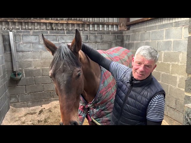 Gordon Elliott racing yard visit before Cheltenham 2023