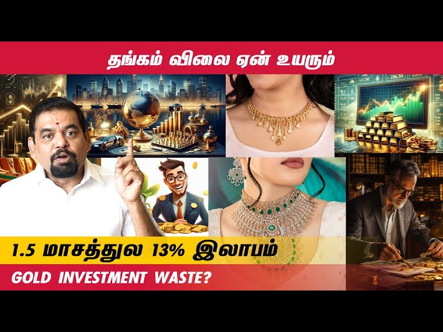 தங்கம் விலை ஏன் உயரும் | 1.5 மாசத்துல 13% இலாபம் | Gold investment waste? | @goldguru24​