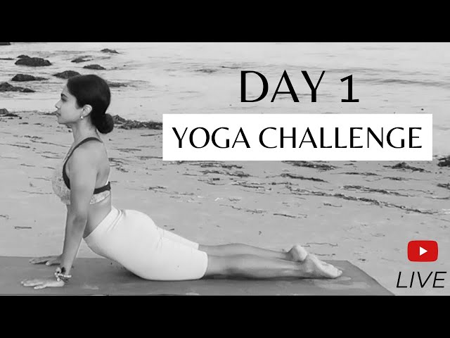 DAY 1 | Traditional Hatha & Sun Salutations | Yoga Challenge For All