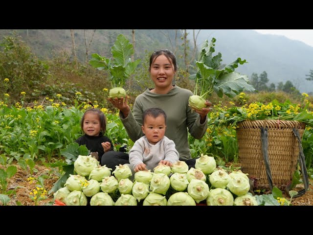 Harvest vegetables to sell at the market - cook fish to eat with your children