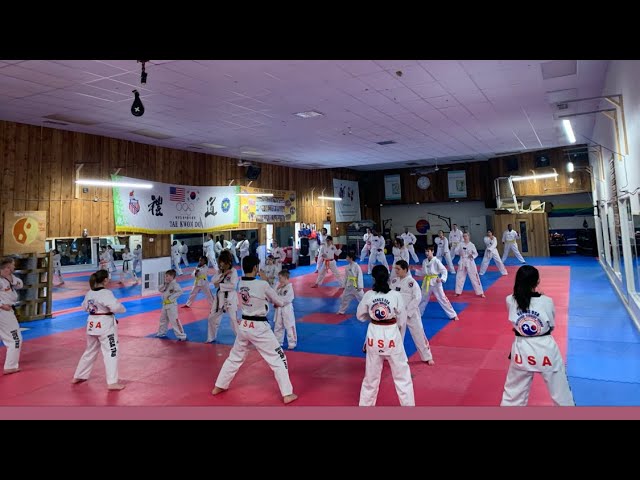 Taekwondo Beginner Kids Sparring Class