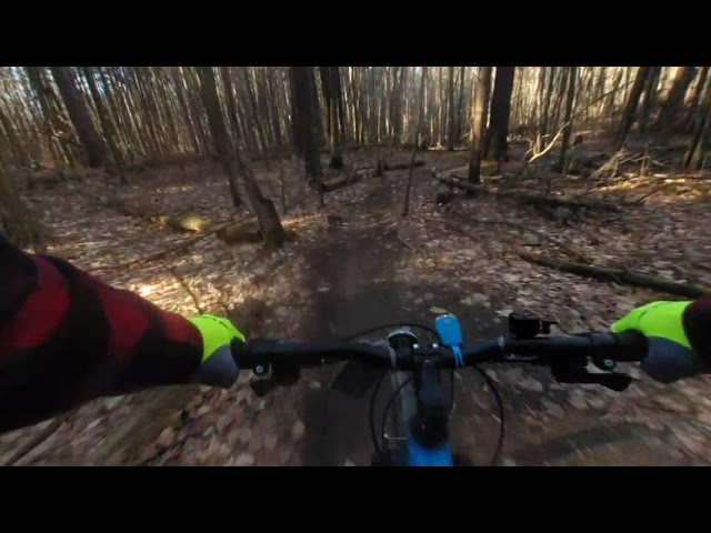 VR180 Pre-Winter Riding in Durham Forest