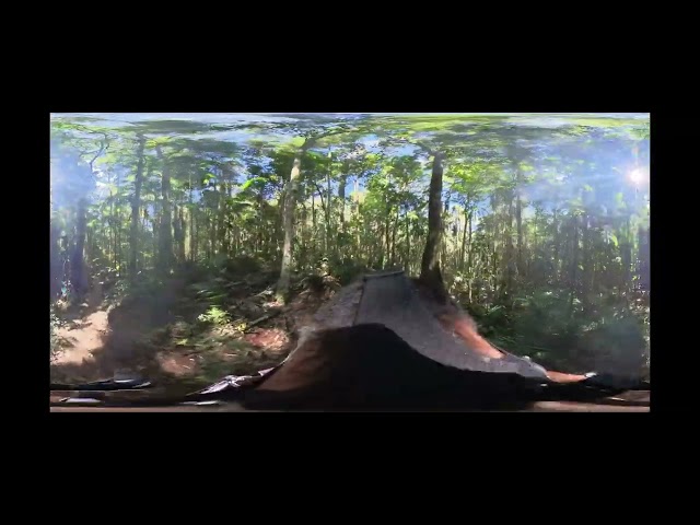 🌿 Embark on a Virtual Bushwalk Adventure! 🌳 360° VR Experience in Tamborine Mountain 🚶‍♂️