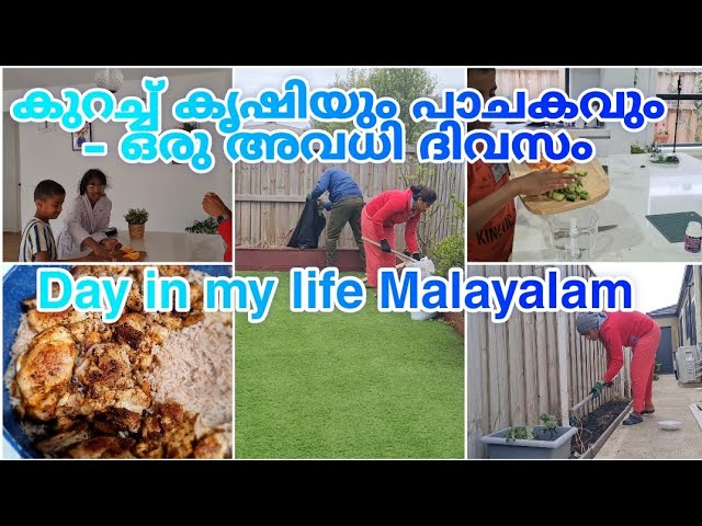 Day in my life Malayalam|Week end tasks in മലയാളി working mom life|curd rice|kuzhi manti|mayonnaise