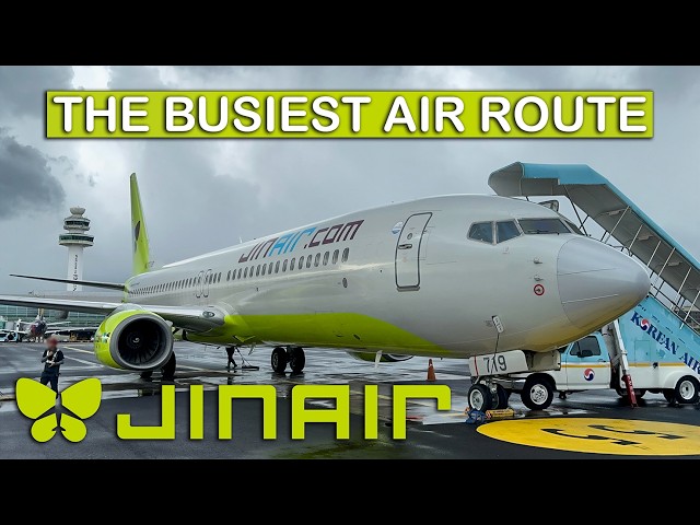 JIN AIR'S B737-900 Economy on the WORLD'S BUSIEST Air Route