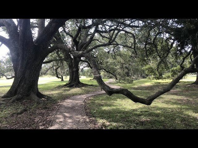 Exploring Audubon Park - 360 Degree - 5k - VR Experience