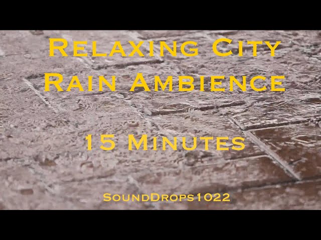 Metropolitan Rain Symphony: 15 Minutes of Ambient Rain on Concrete