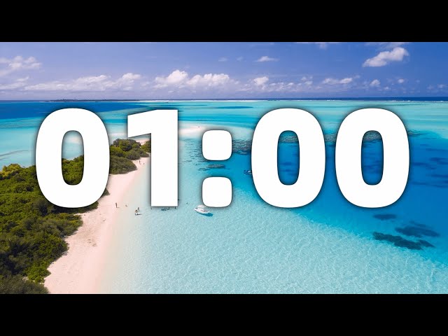 1 Minute Countdown Timer With Ticking Sound &Alarm at The End.