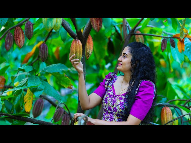 Homemade Cocoa Powder 🍫 Chocolate Moist Cakes, Honey Cones & More Delicious Sri Lankan Sweets