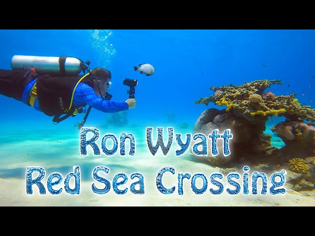 Ron Wyatt and the Red Sea Crossing: Looking for Pharaoh's Chariots 🐎 🛞 🌊 (Part 2)