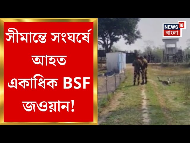 Bangladesh News : ফের সীমান্তে সংঘর্ষ! আহত একাধিক BSF জওয়ান। Bangla News