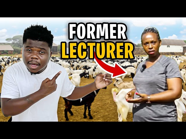 She Quit From Being Lecturer To Build Biggest Goat Farm in Uganda!