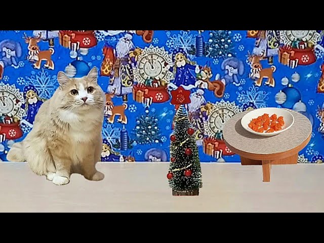 ASMR / The cat eats carrots ❤️😺🌲