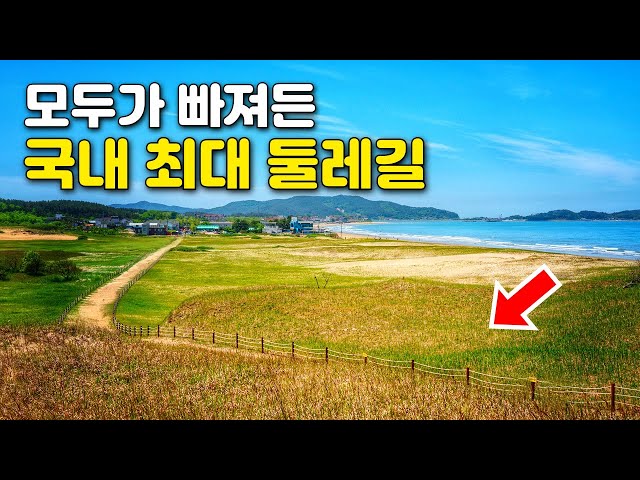 한국의 사하라! 바람이 빚은 기가막힌 우리나라 최대 모래언덕와 바다가 보이는 트레킹 코스 | 대중교통 당일치기 여행