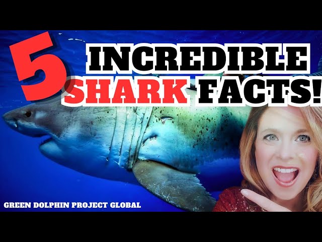 Five Incredible Shark Facts You Need to Know!