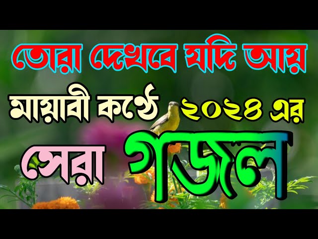 তোরা দেখবে যদি আয় সর্বশ্রেষ্ট গজল ২০২৪ 🔥 ইসলামিক গজল বাংলা 🔥 Gojol 2024 new 🔥 Ghazal 2024 🔥