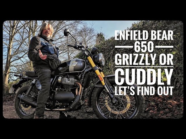 Enfield Bear 650 is it Grizzly or Cuddly, let's have a look. #bear650 #enfieldriders