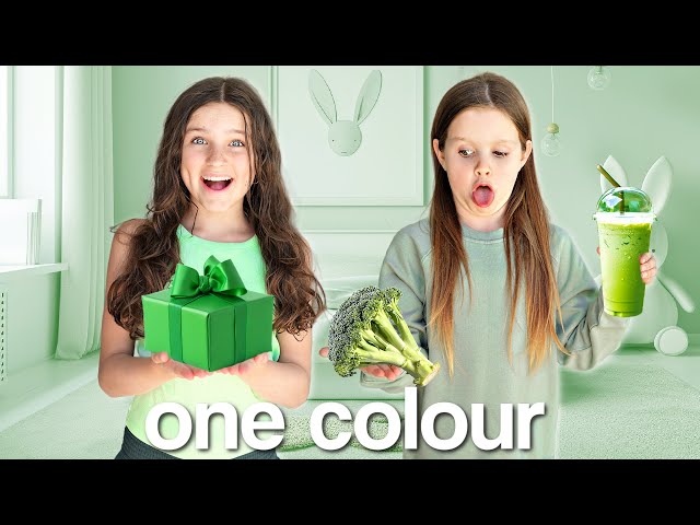 Living in ONE COLOUR for 24 HOURS challenge! | Family Fizz