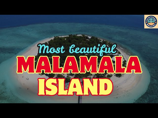 Exploring the Serene Beauty of Malamala Island, Fiji 🌴 | A Relaxing Escape on Our Cruise Journey