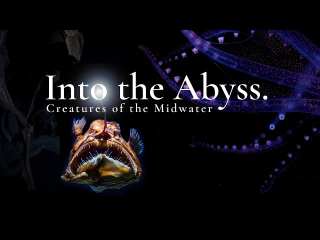 Into the Abyss: Creatures of the Midwater (Full Movie)