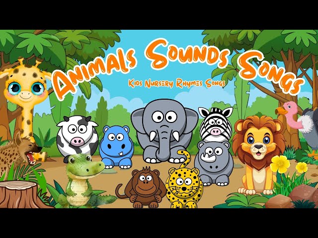 Animal Sounds Song Best Q11| Nursery Rhymes for Toddler | Nursery Rhymes for Babies