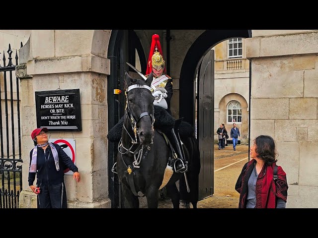 MONDAY MELTDOWN MADNESS AS TWIN TROOPERS DEAL WITH IDIOT TOURISTS at Horse Guards!