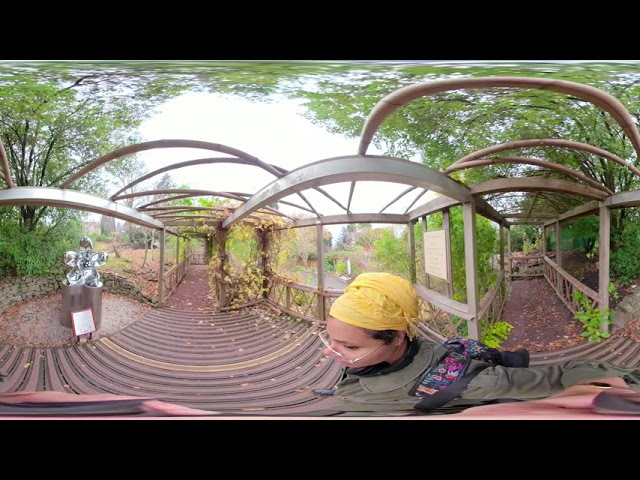 UoB botanic garden - impossible garden tour