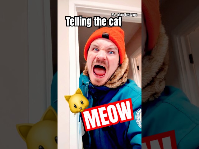 Telling the Cat Important Information 🐱 (It’s Listening… Maybe) Funny Cat meme | meow meme