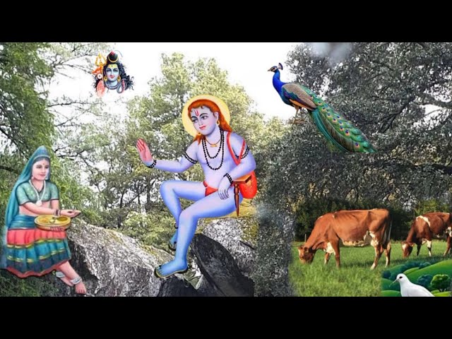 TOP 6 Bhajans || Baba Balak Nath ji || Paunahari New Bhajan