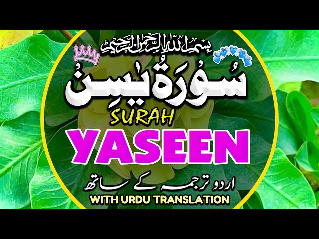 Surah Yasin(Yaseen) | Full With Arabic | Beautiful recitation|یس سورہ 36|000119|edit&pgdinz