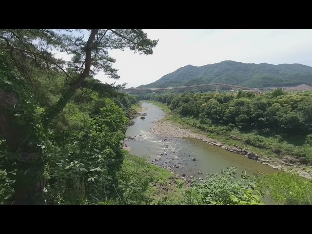 Nature Healing Video 8K 180 VR