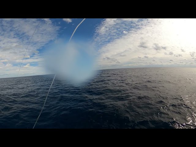 パヤオでジャンボ漁　360°VR動画4K　ルアーにシビとシイラが喰いつくまで　fishing lure Trolling　Yellowfin tuna　Mahi-mahi