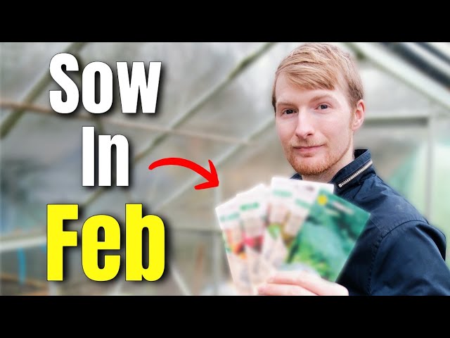 You MUST Sow These Seeds In February - Gardening For Beginners