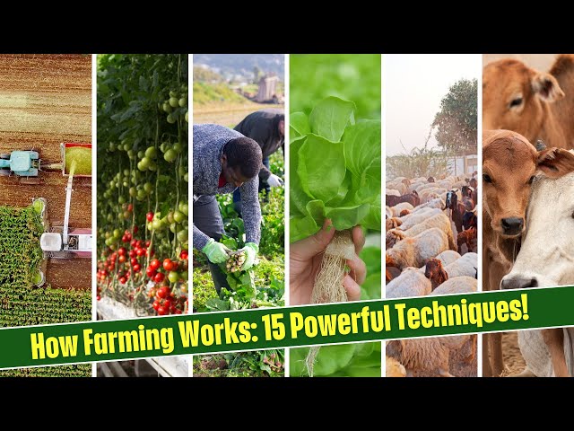 What Are the Different Types of Farming? Learn the Basics in Minutes