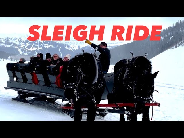 The Best Sleigh Ride Experienced in Alberta Canada