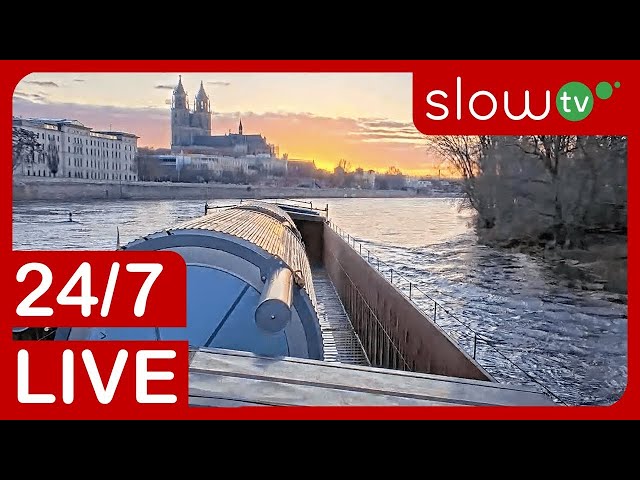 🔴 LIVE: RIO Boat | 24/7 LIVE