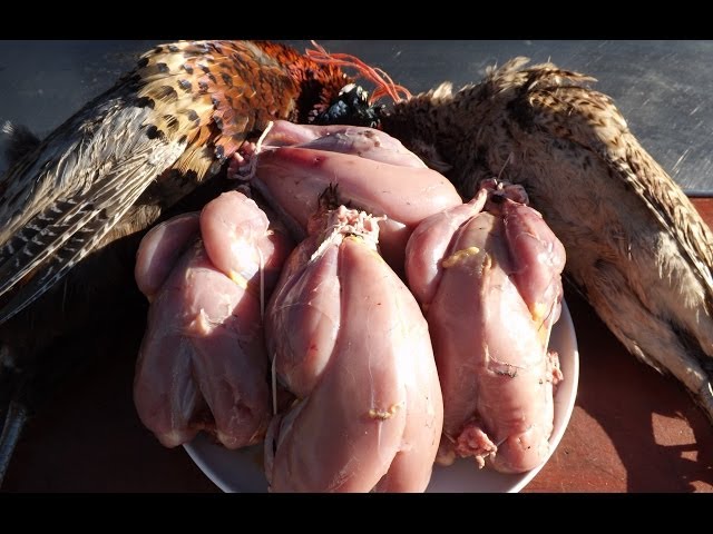 How To Prepare And Cook A Pheasant.(Part 1) Bird Preparation.