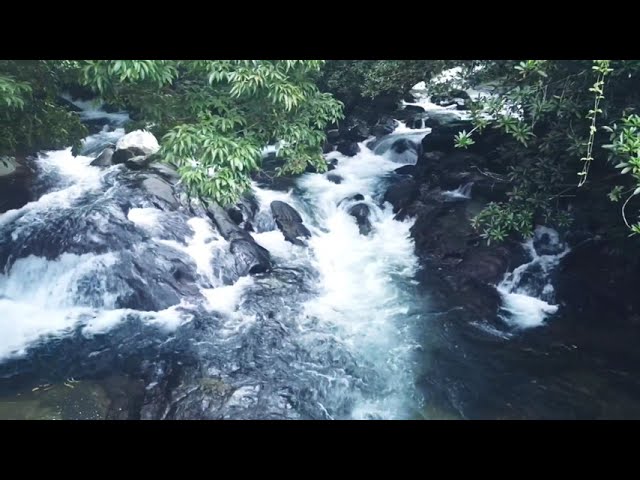 Idukki-02 #idukki #kerala #video #travel