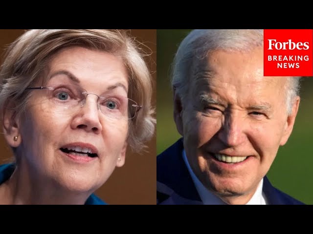 Elizabeth Warren Asked Point Blank If Biden's Last-Minute Pardons For Family Were A 'Mistake'