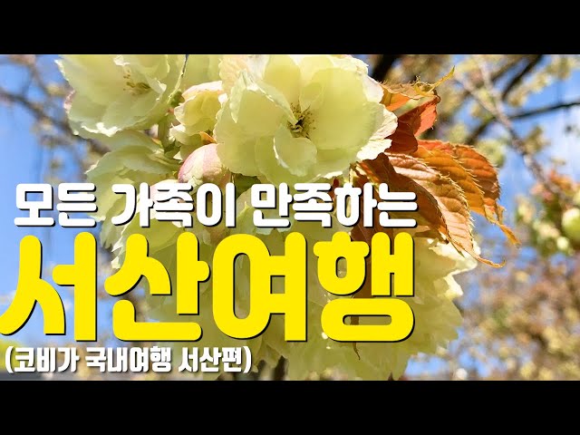 서산여행 가족 모두 만족할 여행지 [2020 더 새로운 시민의 서산 UCC 공모전]