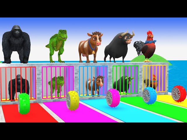 Long Slide Game With Elephant Gorilla Buffalo Hippopotamus Tiger 3d Animal Game Funny 3d Animals