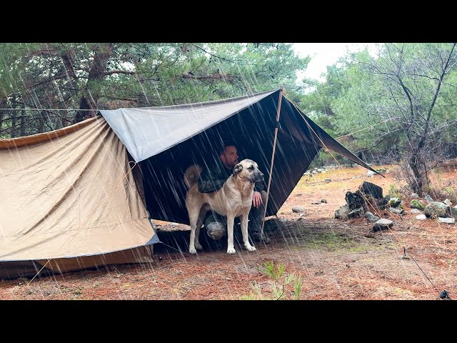 2 Days in the Forest in Heavy Rain! - Solo Camping in Heavy Rain and Rainstorm