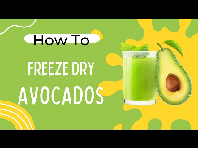 Let's Freeze Dry Avocados!