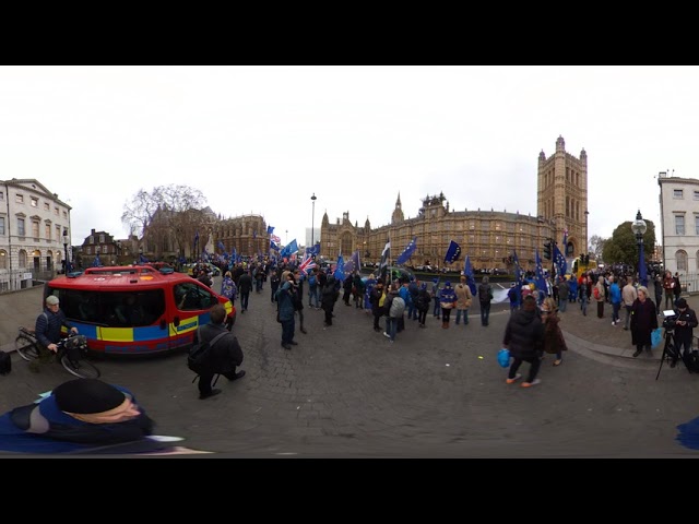 15.01.19 Remain/Leave Brexit protests, Parliament Square