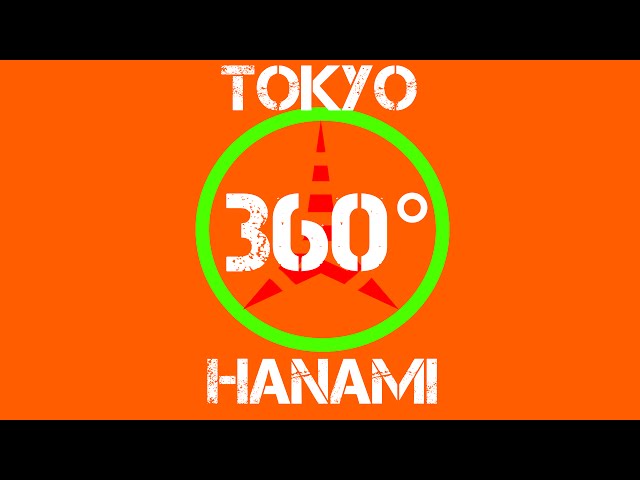 Tokyo YouTube Hanami in EDITED 360 Video With Music!!!