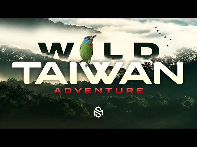 Taiwan Adventure: Rainforests, Wildlife and Night Markets!