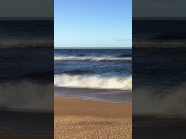 Relaxing Ocean Waves. #shorts #oceanwaves #oceanwavesounds #oceansoundsforsleeping #relaxingsounds