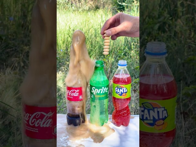 “Mentos in Cola, Fanta and Sprite: Who will explode the hardest?” #experiment #mentos #cola