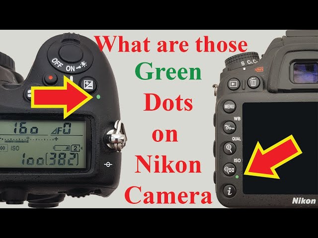 How to Factory Reset Nikon Cameras (Quick and Easy)