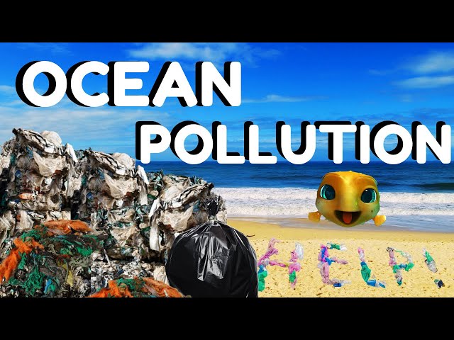 Ocean Pollution Facts for Kids #TeamSeas